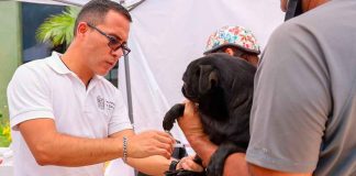 Arrancó el pre registro para la campaña de esterilización y vacunación antirrábica en Zacapu