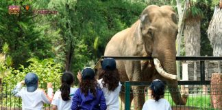 Zoológico de Morelia te espera el viernes 30 de mayo para un día en el aula viva
