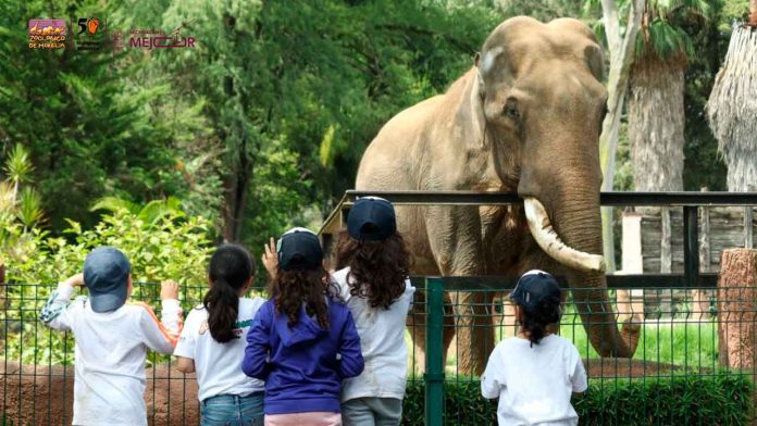 zoologico
