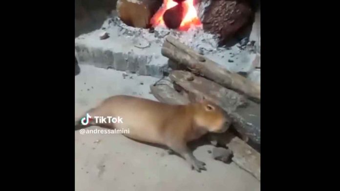 Sin-título-1-Recuperado