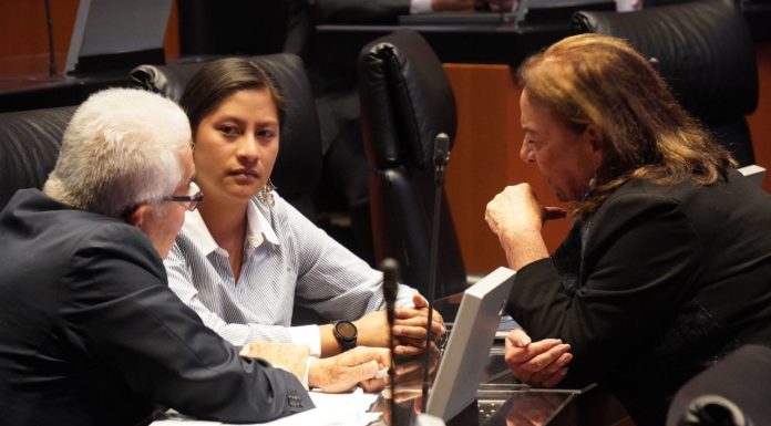 Celeste Ascencio vota a favor de reformas clave para proteger la biodiversidad, la vida silvestre y la memoria de las mujeres en la historia de México