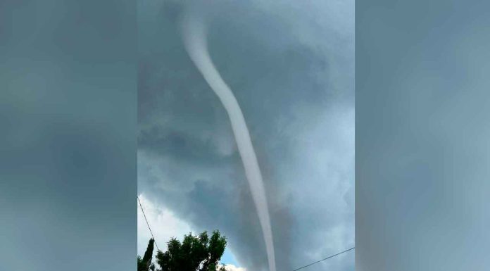 #VIDEOS | “Culebra de agua” sorprende a habitantes de Opopeo; arranca techumbre de escuela y de tres viviendas