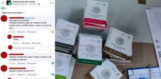 Falsifican cartillas para evadir sistema de salud ante repunte de sarampión y tos ferina