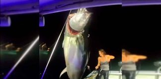 #VIDEO || ¡Gigante del océano! Mujer pesca atún azul más grande que ella misma