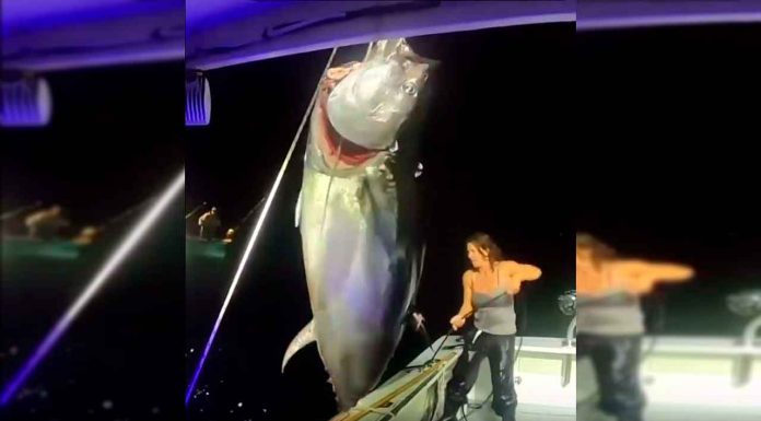 #VIDEO || ¡Gigante del océano! Mujer pesca atún azul más grande que ella misma