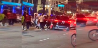 #VIDEO || Conductor huye entre protestas anti-Trump y ahora enfrenta posible delito grave