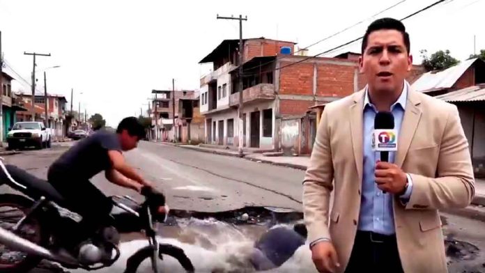 bache-cn-ia
