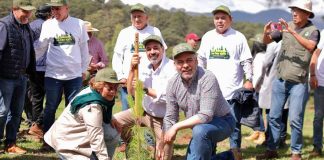 En julio inicia dispersión aérea de 200 mil semillas para reforestar: Bedolla