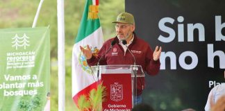 Michoacán impulsa reforestación histórica para recuperar el lago de Pátzcuaro: Bedolla