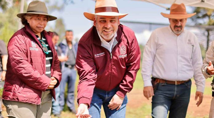 #VIDEO | Viveros del estado con producción histórica de plantas para reforestar: Bedolla