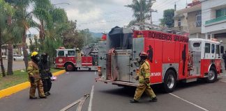 Enjambre de abejas deja seis heridos en Uruapan; una persona inconsciente