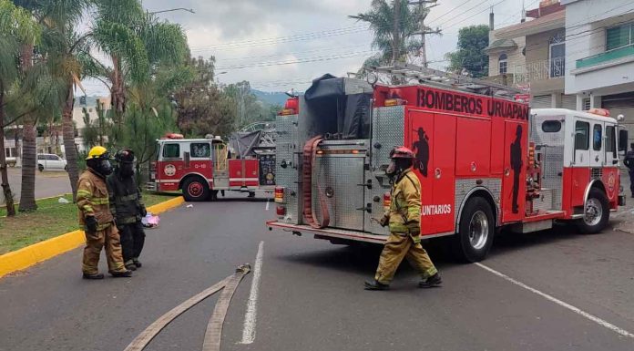Enjambre de abejas deja seis heridos en Uruapan; una persona inconsciente