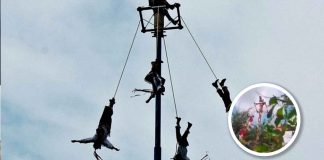 #VIDEO | Voladores de Papantla caen de más de 10 metros de altura en Tihuatlán