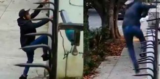 #Video | Alarmante robo en la Colonia del Valle: Intrusos huyen tras ser descubiertos