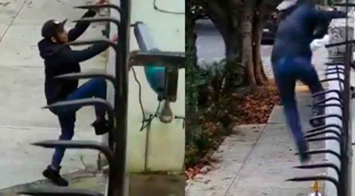 #Video | Alarmante robo en la Colonia del Valle: Intrusos huyen tras ser descubiertos