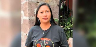 #VIDEO | Senadora Celeste Ascencio a favor de la paridad de género en los cargos de representación popular