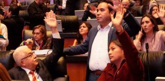 Senado avanza contra el lavado de dinero: Celeste Ascencio