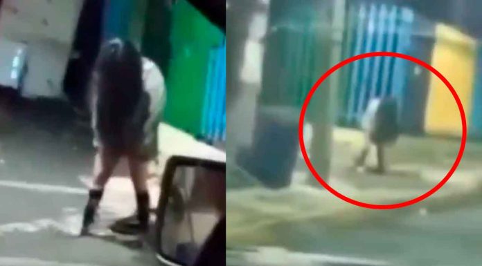 #VIDEO || Mujer “extraña” en Xochimilco desata polémica por reacción de policías