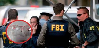 Detienen a dos ciudadanos chinos por intento de contrabando de hongo peligroso a EE.UU.