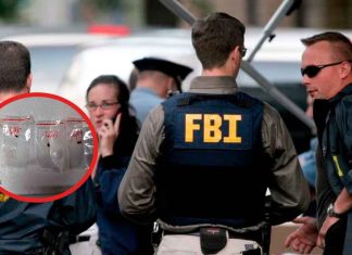 Detienen a dos ciudadanos chinos por intento de contrabando de hongo peligroso a EE.UU.