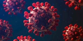 “Nimbus”; La nueva variante de COVID-19 que alerta al mundo por su rápida propagación y dolor de garganta extremo