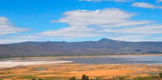 Presenta Lago de Cuitzeo hasta el 50% de su capacidad