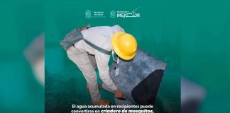 Ante temporada de lluvias, la SSM te dice cómo protegerte del dengue