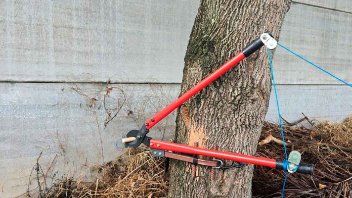 desacctivanexplosivos