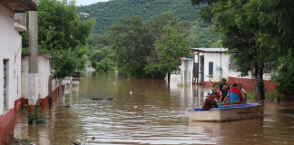 Evita enfermedades de la piel con estas recomendaciones de la SSM