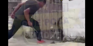 #VIDEO | #México: Captan a hombre intentando herir a perros en una casa con un arma blanca