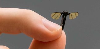 #VIDEO | China presenta un mosquito espía; el nuevo microdron que cambiará las reglas del espionaje militar