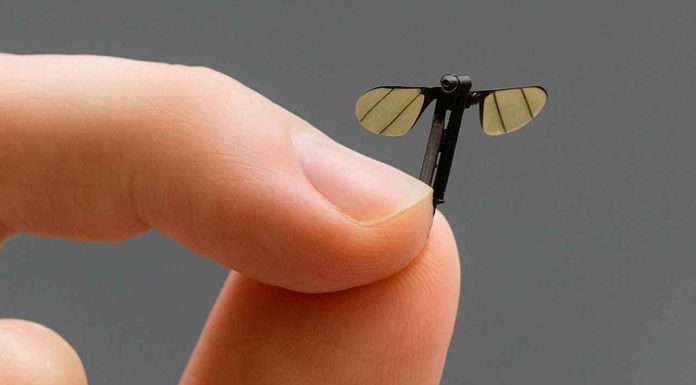 #VIDEO | China presenta un mosquito espía; el nuevo microdron que cambiará las reglas del espionaje militar