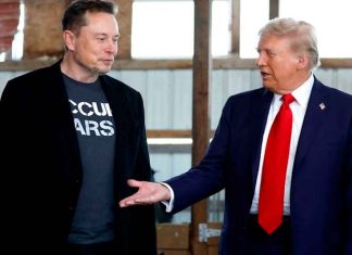 Donald Trump advierte a Musk con afrontar consecuencias si financia a demócratas