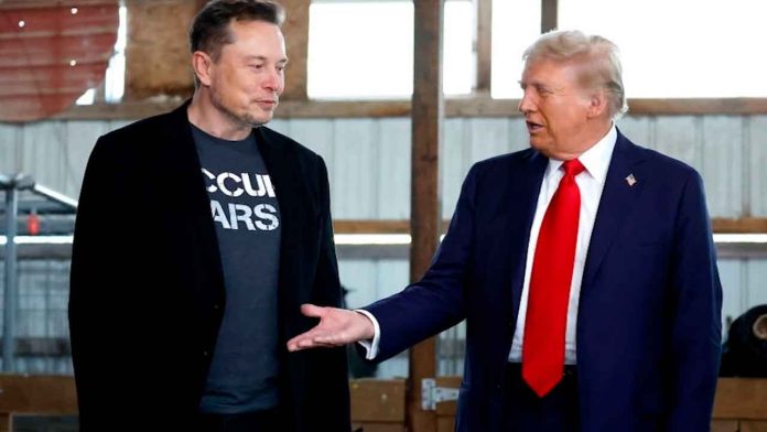 elon