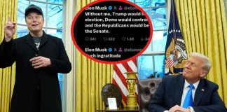 Elon Musk asegura que su respaldo fue decisivo para la victoria de Trump en las elecciones