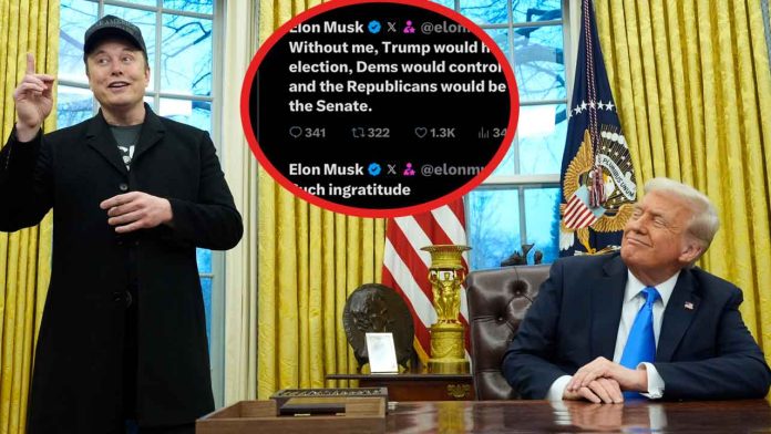 elonmuskytrumpelecciones