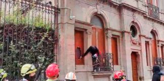 #VIDEO #AlMomento || Colectivo feminista escala edificio de Segob y rompe protecciones en protesta por presunto abuso contra menor en CDMX