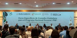 Realiza Gobierno Estatal Foro de consulta ciudadana para el Programa Nacional Forestal