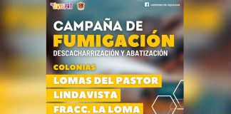 Gobierno de Jiquilpan continua con campaña de fumigación contra el dengue, zika y chikungunya