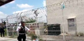 #VIDEO | Hallan a hombre muerto en cuarto de máquinas de la Unidad Deportiva Wenceslao Victoria