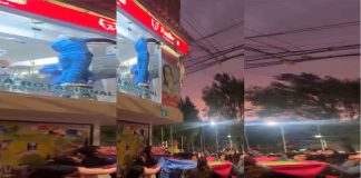 #VIDEO || ¡Héroes al rescate! Gatito colgaba de un cable de luz y fue salvado a tiempo