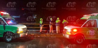 Jauría de perros hiere a pareja en Uruapan