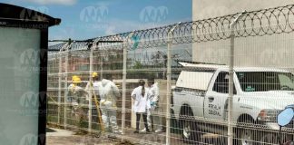 #Seguimiento #VIDEO | Identifican al hombre electrocutado afuera del auditorio de la Unidad Deportiva Wenceslao Victoria, en Morelia