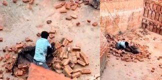 #VIDEO | Duelo Mortal en la India; Hombre Lucha Cuerpo a Cuerpo Contra Leopardo Invasor #Internacional