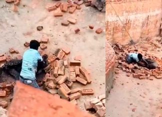 #VIDEO | Duelo Mortal en la India; Hombre Lucha Cuerpo a Cuerpo Contra Leopardo Invasor #Internacional