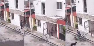 #VIDEO | Vecinos de Hacienda La Trinidad denuncian nuevo caso de robo en vivienda