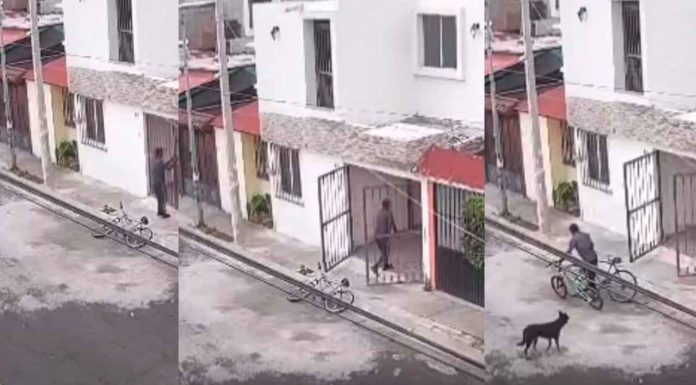 #VIDEO | Vecinos de Hacienda La Trinidad denuncian nuevo caso de robo en vivienda