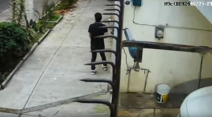 #VIDEO || Alerta vecinal en CDMX denuncian robos sistemáticos a casas y oficinas