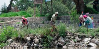 Lago de Pátzcuaro renace con 5 nuevos manantiales en Urandén: Compesca