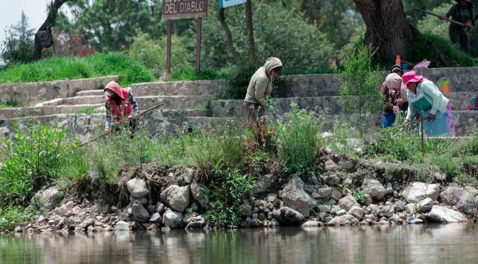 Lago de Pátzcuaro renace con 5 nuevos manantiales en Urandén: Compesca